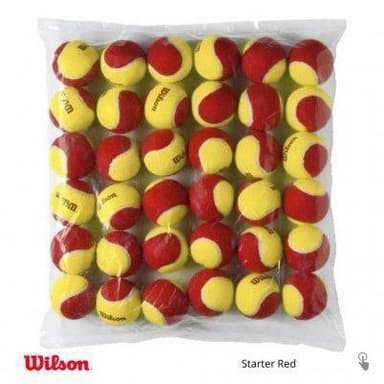 Wilson Starter Red (36-Pack), Tennis pallot