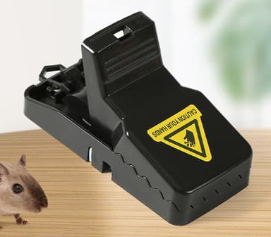 Mouse Traps Indoor 4-Pack Musta L