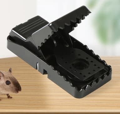 Mouse Traps Indoor 4-Pack Musta L