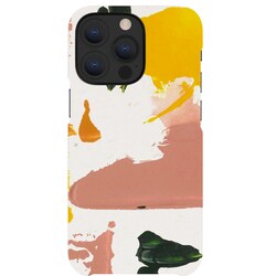 A Good Company iPhone 13 Pro suojakuori (Colour Splash)