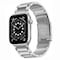 Ranneke BEAD Titaani Apple Watch 6 (44mm) - Hopea