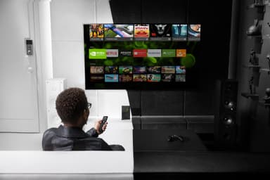 Nvidia Shield TV Pro (500 GB)