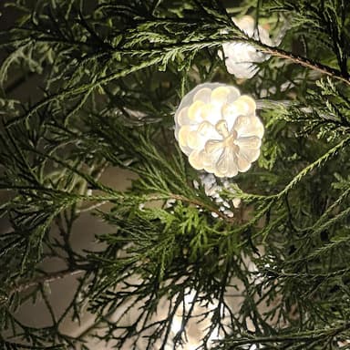 LightsOn Mänty 10m valosarja valkoisia irisoivia käpyjä