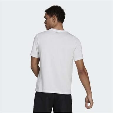 Adidas Graphic Logo Padel Tee, Miesten padel ja tennis T-paita