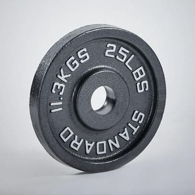 Kraftmark International weight boards 50mm iron 25 lb (11,3 kg)