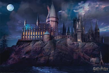 Harry Potter juliste Hogwarts