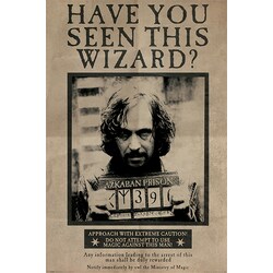 Harry Potter juliste Wanted