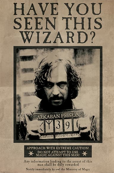 Harry Potter juliste Wanted