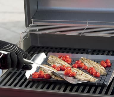 Weber Style grillausalusta kalalle