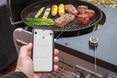 Weber iGrill Mini paistomittari 7220