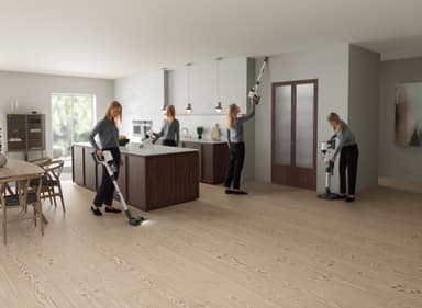Electrolux Hygienic 800 varsi-imuri EP81HB25SH (valkoinen)