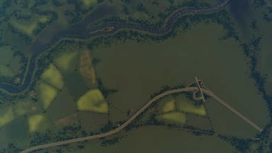 Cities: Skylines - Content Creator Pack: Map Pack 2 - PC Windows,Mac O