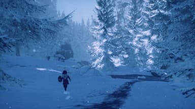 Skábma™ - Snowfall - PC Windows