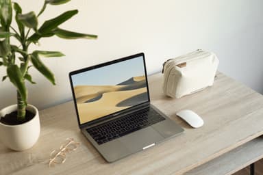 Peak Design Tech Pouch kameralaukku (luu)