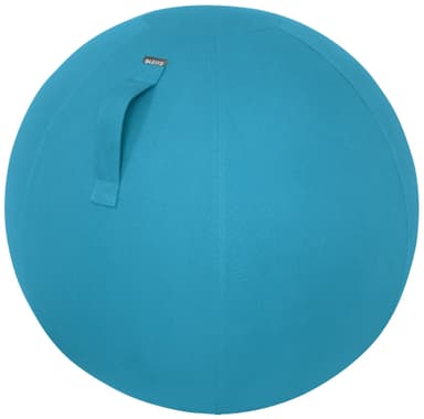 Leitz Ergo Cosy aktiivipallo