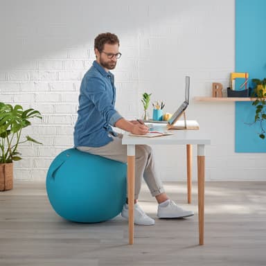Leitz Ergo Cosy aktiivipallo