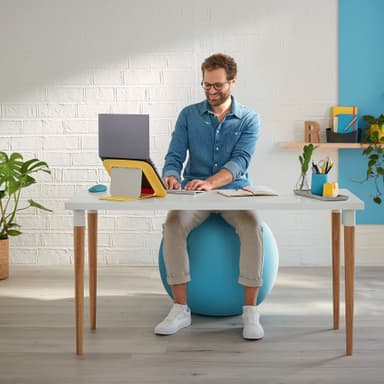 Leitz Ergo Cosy aktiivipallo