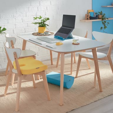 Leitz Ergo Cosy istuintyyny
