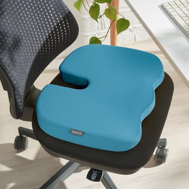 Leitz Ergo Cosy istuintyyny