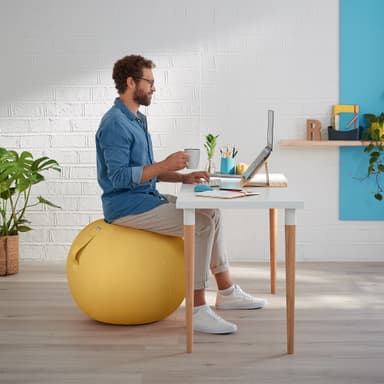 Leitz Ergo Cosy aktiivipallo