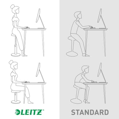 Leitz Ergo Cosy aktiivituoli