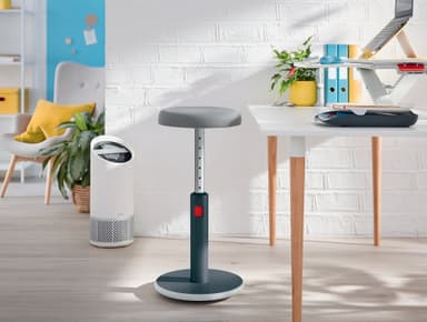 Leitz Ergo Cosy aktiivituoli