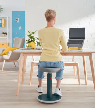 Leitz Ergo Cosy aktiivituoli
