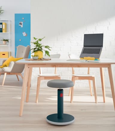Leitz Ergo Cosy aktiivituoli