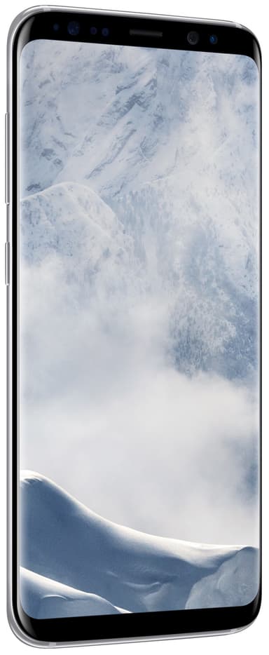 Samsung Galaxy S8 älypuhelin (hopea)
