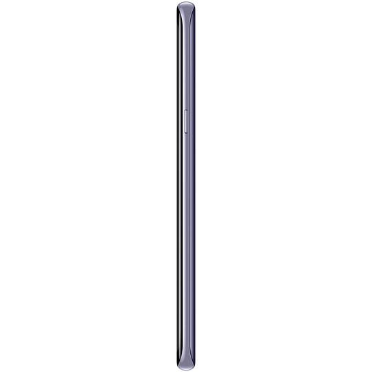 Samsung Galaxy S8 Plus älypuhelin (harmaa)