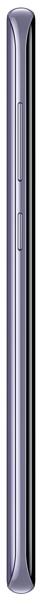 SAMSUNG SM-G955FZVATEN Smartph