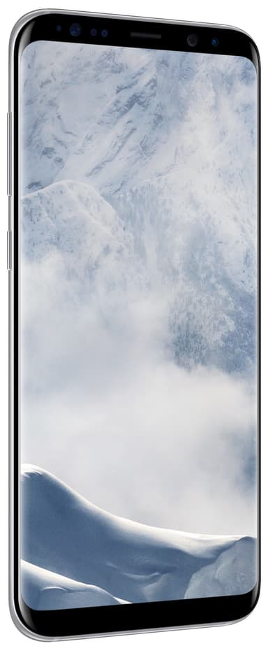 SAMSUNG SM-G955FZSATEN Smartph