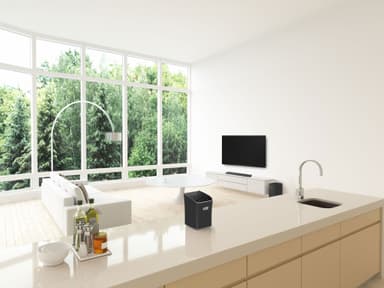 Panasonic 40W langaton kaiutin SC-ALL2EGK (musta)