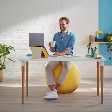 Leitz Ergo Cosy aktiivipallo
