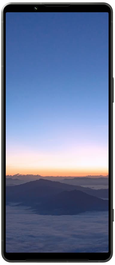 Sony Xperia 1 V 5G älypuhelin 12/256 GB (vihreä)