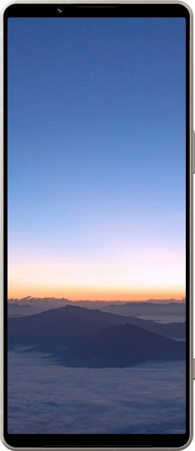 Sony Xperia 1 V 5G älypuhelin 12/256 GB (harmaa)