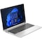HP EliteBook 645 14 G10 14 Laptop (Silver)