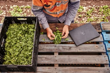 HP ProBook Fortis G9 14" kannettava tietokone (Musta)
