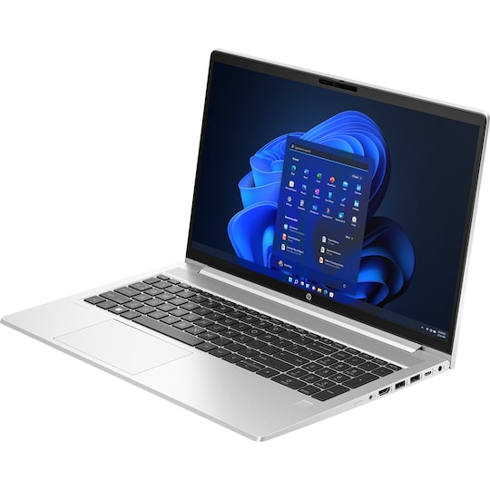 ProBook 455 15.6 inch G10 Notebook PC 15.6