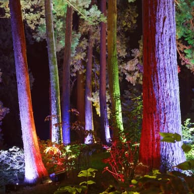8 x 5W LED upotettu lattiavalaisin kulmikas RGBW -kulmavalo
