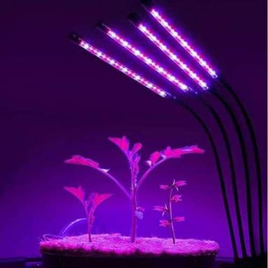INF Kasvivalo / kasvien valaistus, 4 LED -loistelamppua 1-pack