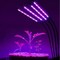 Kasvivalo / kasvien valaistus, 4 LED -loistelamppua