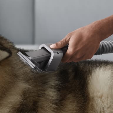 Dyson hoitosarja lemmikeille 972205-01