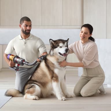 Dyson hoitosarja lemmikeille 972205-01