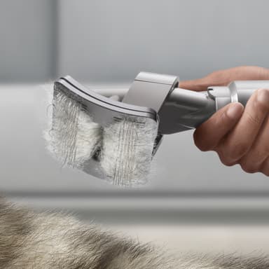Dyson hoitosarja lemmikeille 972205-01