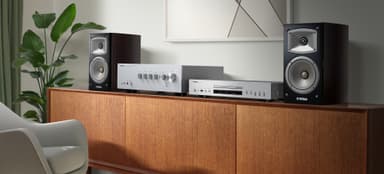 Yamaha CDS303 CD-soitin (hopea)