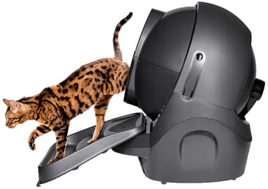 Whisker Litter-Robot 3 ramppi (harmaa)