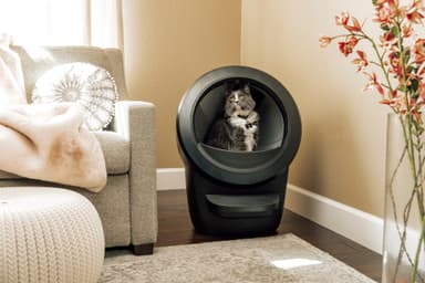 Whisker Litter-Robot 4 automaattinen kissanhiekkalaatikko - Musta