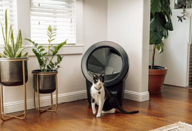 Whisker Litter-Robot 4 automaattinen kissanhiekkalaatikko - Musta