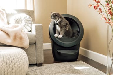 Whisker Litter-Robot 4 automaattinen kissanhiekkalaatikko - Musta